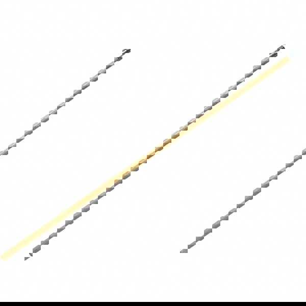 Paint Roller Extension Pole